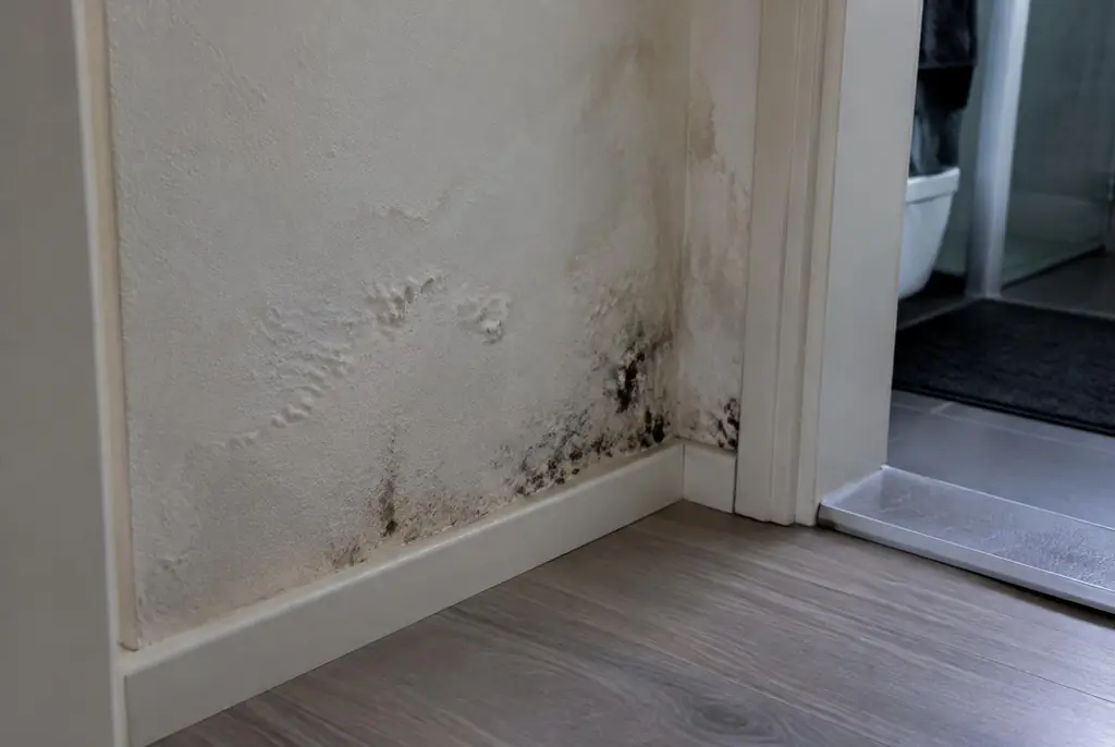 Lekdetectie Raalte – vochtplek met schimmel op een muur